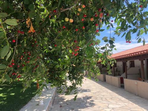 Apartamento Gregory's Village
