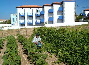Aphrodite Beach Hotel