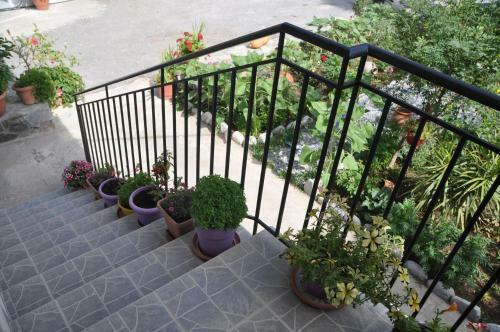 Apartamento Paralia Rooms