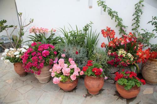 Apartamento Paralia Rooms