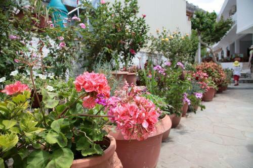 Apartamento Paralia Rooms