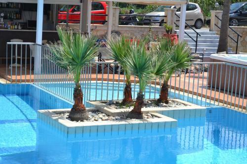 Apartamento Sunny Suites
