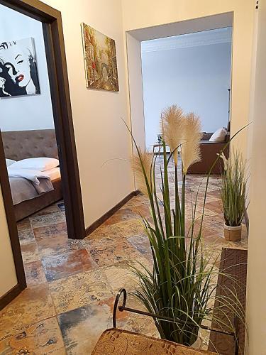 Inn Home Apartments - Kreshchatyk Area