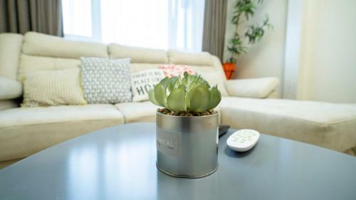 Apartamento Eco Studio