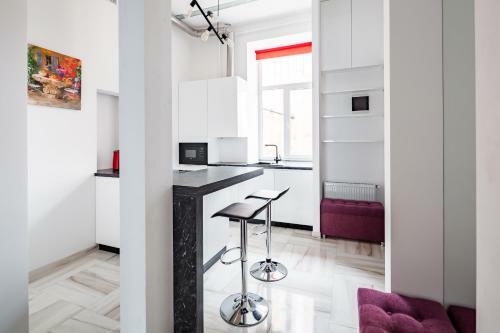 Deluxe Apartment In Horodotska 33