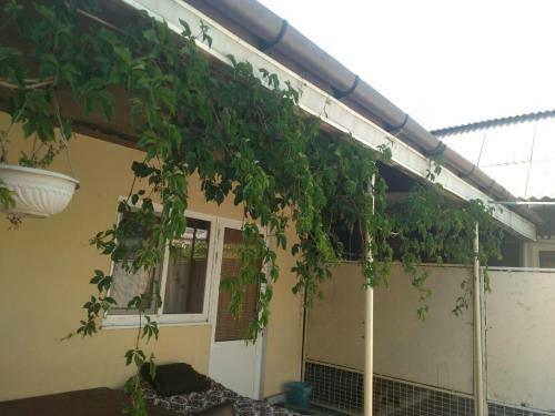 Hostal Mini-hotel Adler