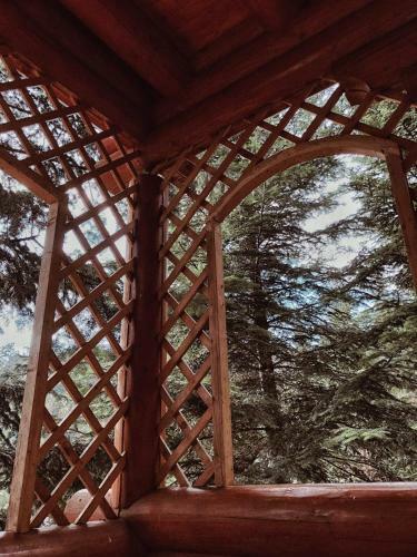 Forest House