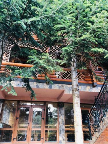 Forest House