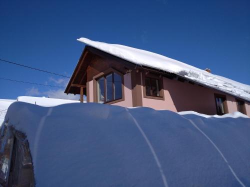 Hostal ????????? ??????