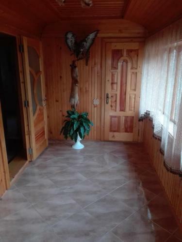 Apartamento ?????? �??? ???�