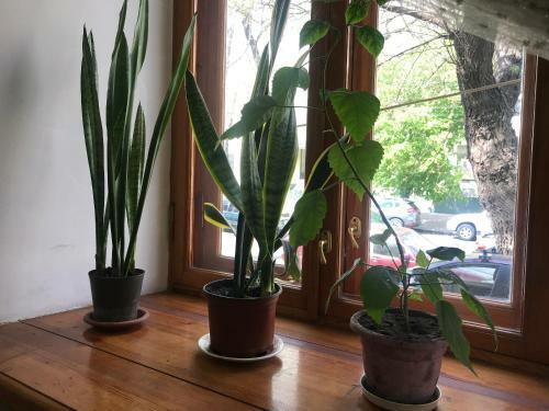 Apartamento Uspenskay/pushckinskay