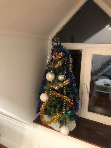 Apartamento Ekaterina Appartment
