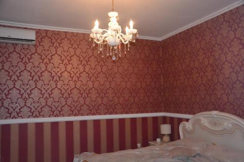 Hotel ??????:korsar
