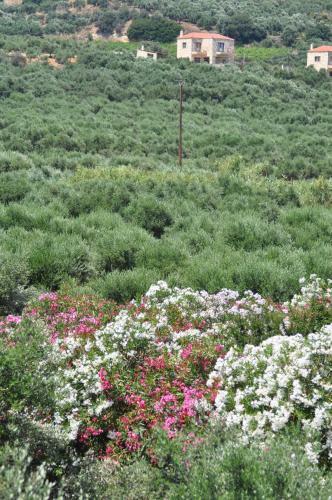 Hotel Eria Resort Accessible Holidays For Disabled Travelers