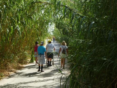 Hotel Eria Resort Accessible Holidays For Disabled Travelers