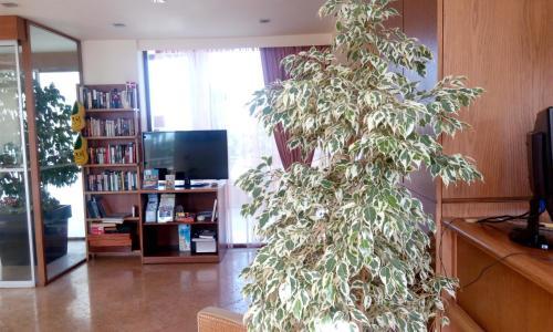 Hotel Eria Resort Accessible Holidays For Disabled Travelers