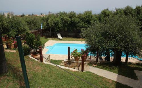 Villa Palma