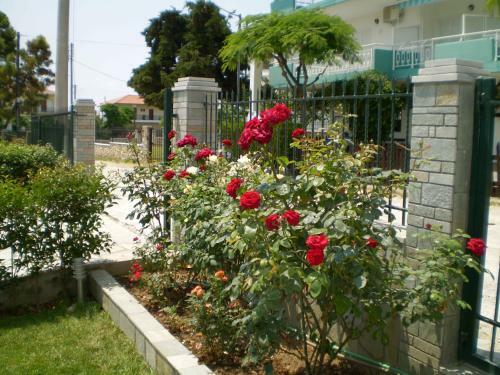 Pavloudis Apartments