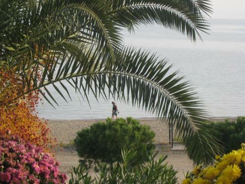 Apartamento Pension Nikos