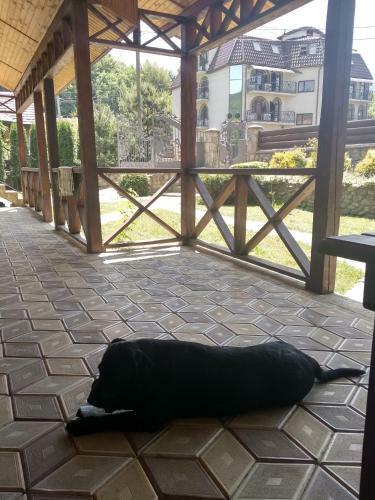 Posada ?????????