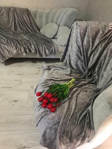 Apartamento ?????????? ??????????? ? ???????? ? ??????????? ?????
