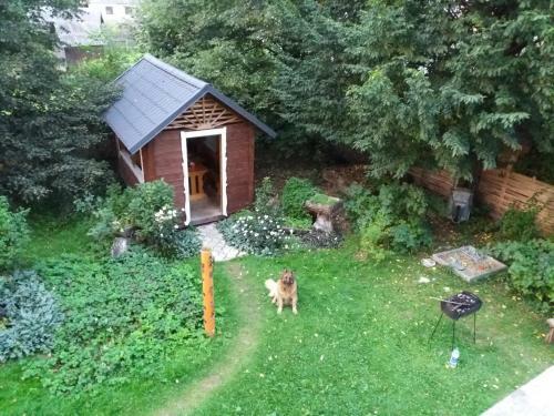 Bed & Breakfast ????? ??????'?