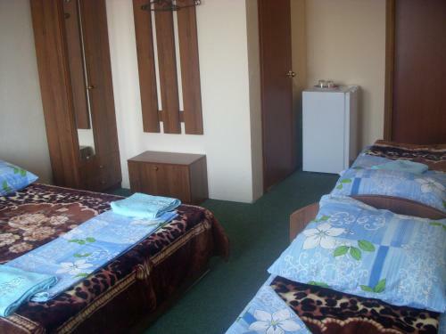 Hotel Antoshka Pansionat