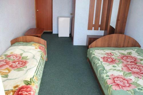 Hotel Antoshka Pansionat