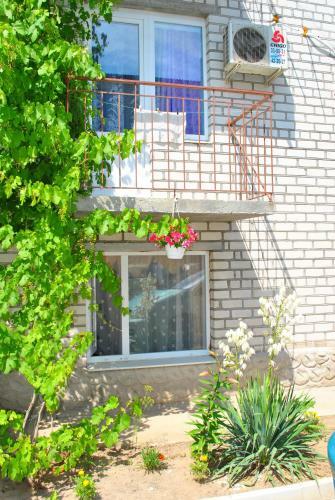 Hotel Antoshka Pansionat