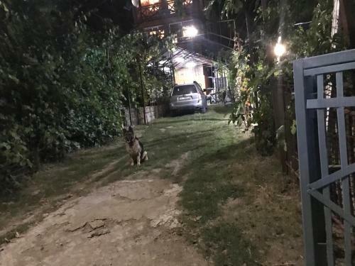 Agroturismo ??????? ?? ?????? ??????