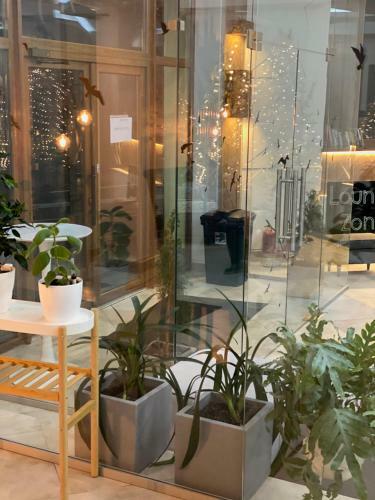Hotel Grofa Apartments