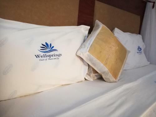Wellsprings Hotel