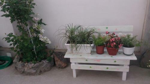 Hostal Malenkiy Ray
