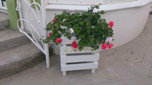 Hostal Malenkiy Ray