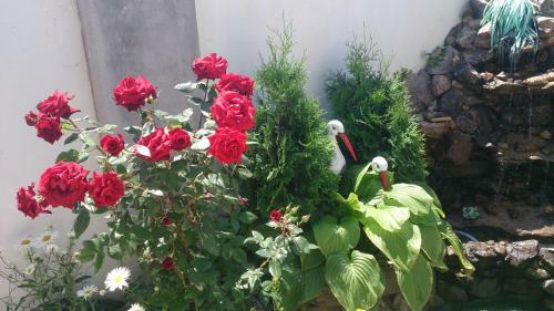 Hostal Malenkiy Ray