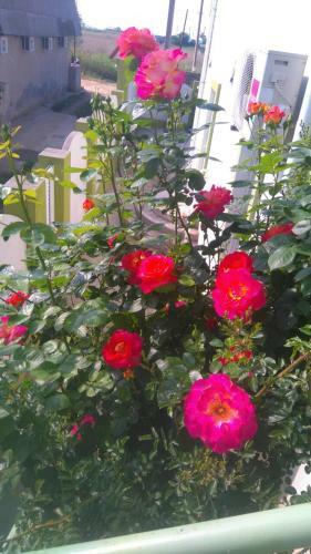 Hostal Malenkiy Ray