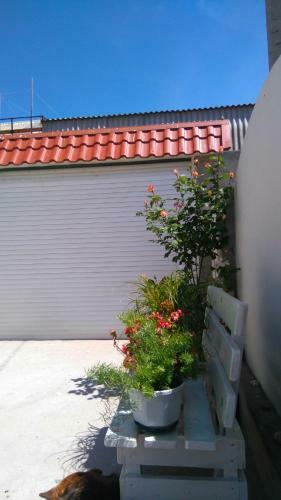 Hostal Malenkiy Ray