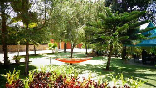 Hostal Apricot Guest House