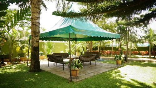 Hostal Apricot Guest House