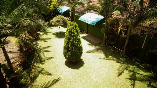 Hostal Apricot Guest House
