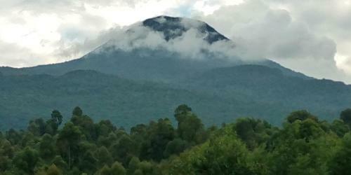 Bed & Breakfast Mondi Lodge Kisoro