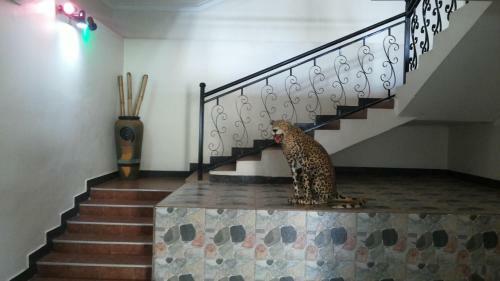 Westcliff Hotel