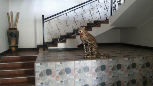 Westcliff Hotel