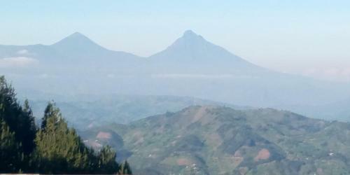 Nkuringo Home Stay