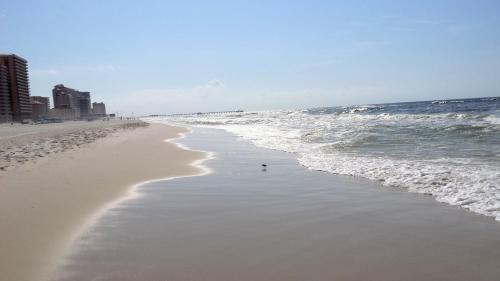 Apartamento New Listing! Remodeled Beach Retreat With 2 Units Duplex