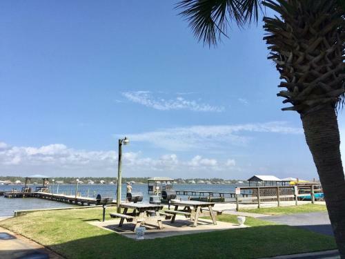 Gs Surf & Racquet Gulf Shores Rentals