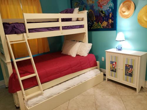 Apartamento San Carlos 1604 Condo