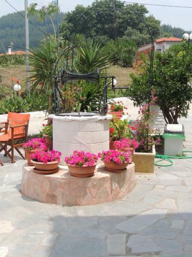Apartamento Studios Costa