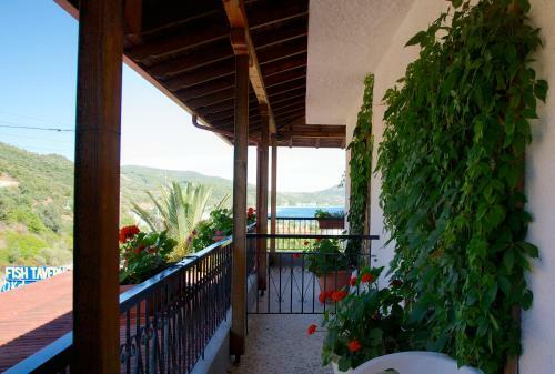 Hostal El Capitan