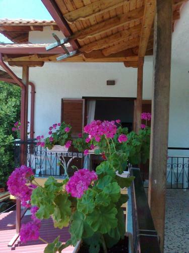 Hostal El Capitan